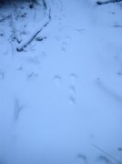 11.27.05 Nesmith Point 112 